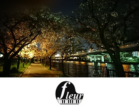 毛馬桜ノ宮公園でお花見してきました。